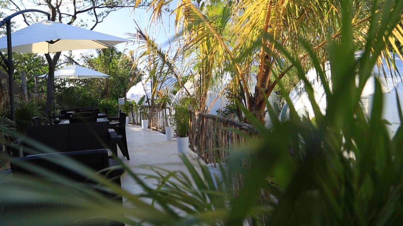 מלון Glamping Tulum With Private Mini Pool מראה חיצוני תמונה